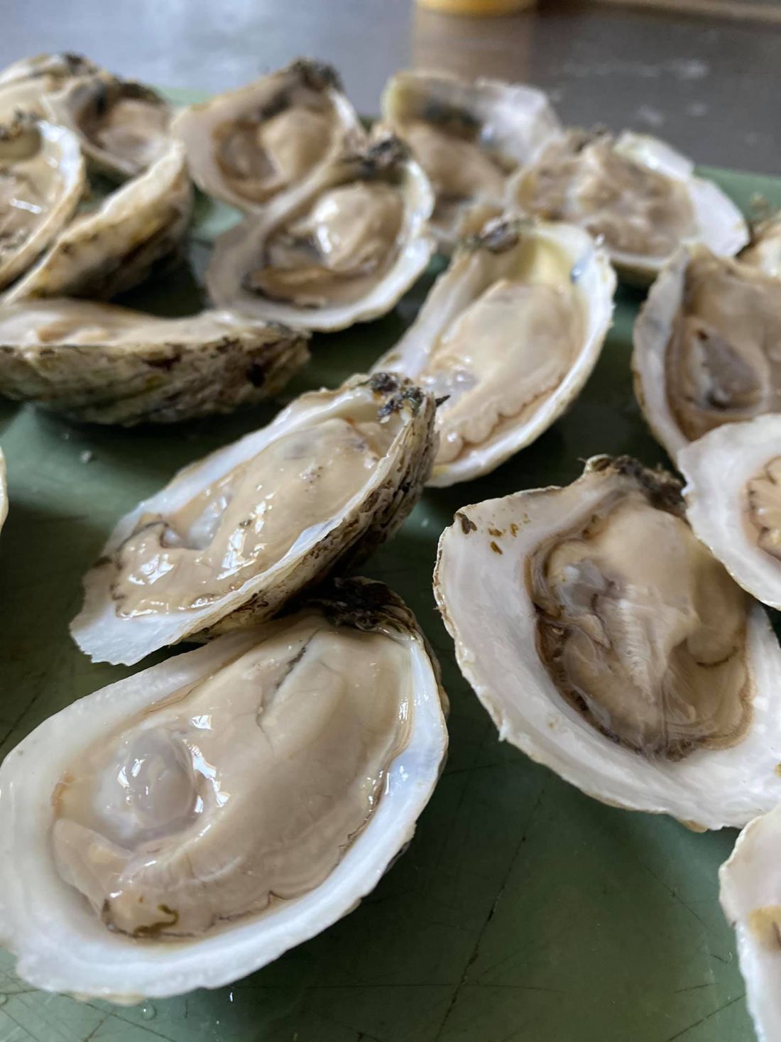 Gallery Ocracoke Oyster Company Outer Banks, NC